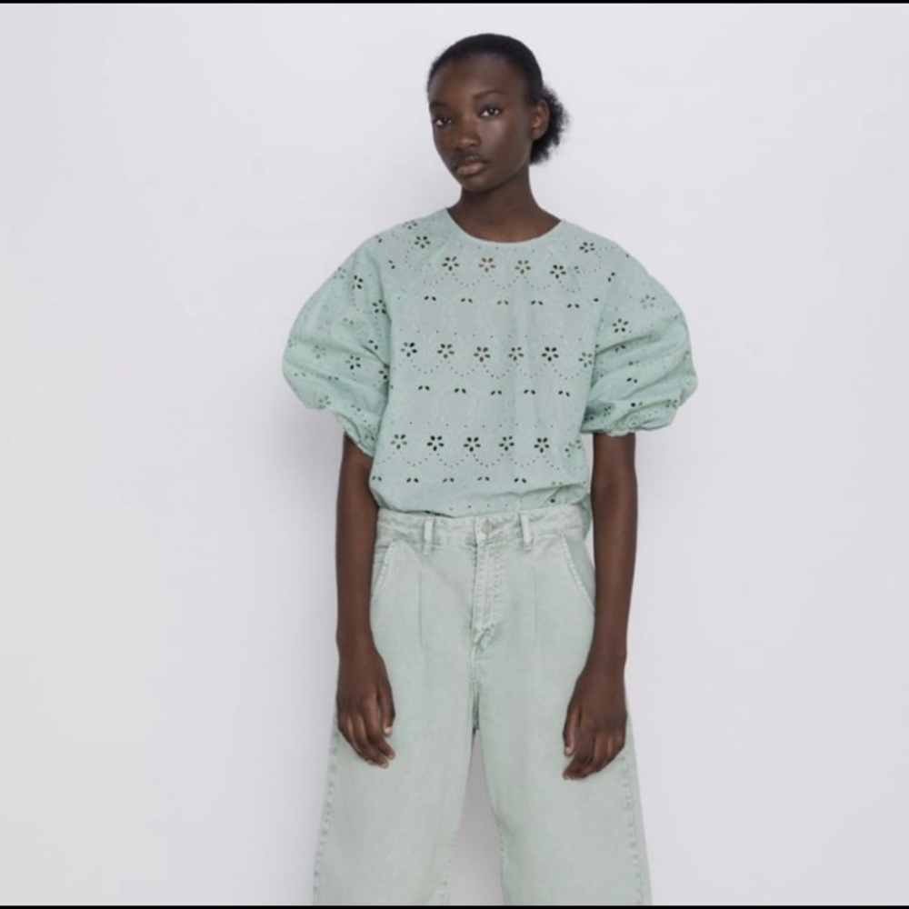 NWOT ZARA Embroidered Eyelet Top